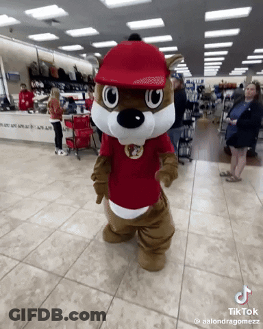 A Squirrel Mascot Is Standing In A Store With A Red Hat On GIF