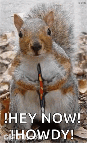 A Squirrel On A Leash With The Words `` Hey Now ! Howdy ! '' Written Below It . GIF