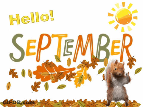 A Squirrel Standing In A Pile Of Leaves With The Words Hello September GIF