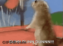 A Squirrel Standing On Its Hind Legs And Saying Duhn Dunn Dunn GIF