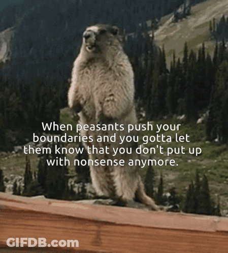 A Squirrel Standing On Its Hind Legs With A Quote About Pushing Your Boundaries GIF