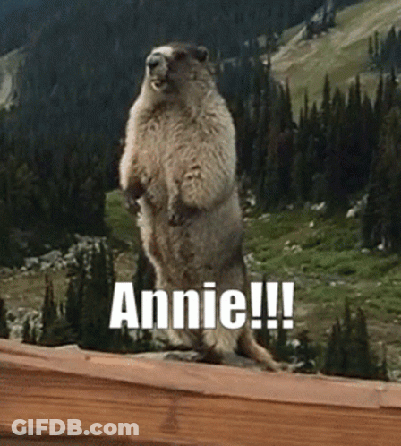 A Squirrel Standing On Its Hind Legs With Annie Written On The Bottom GIF