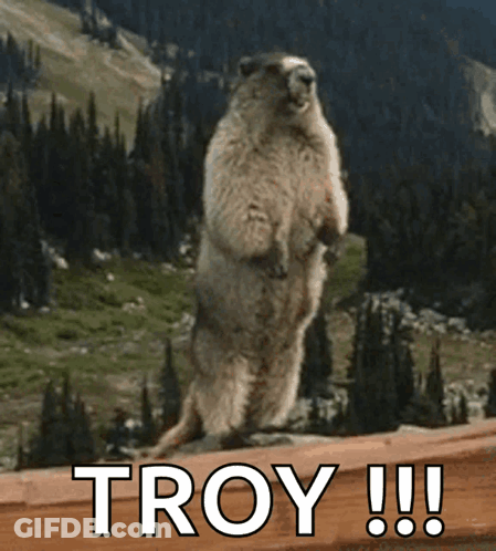 A Squirrel Standing On Its Hind Legs With The Word Troy Written Below It GIF