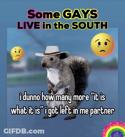 A Squirrel Wearing A Cowboy Hat With The Words Some Gays Live In The South GIF