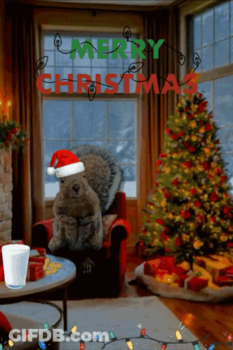 A Squirrel Wearing A Santa Hat Is In A Living Room With A Christmas Tree GIF
