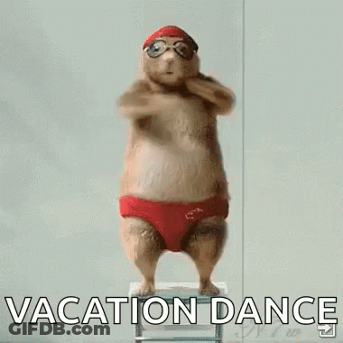 A Squirrel Wearing Red Swim Trunks And Goggles Is Dancing On A Stool . GIF
