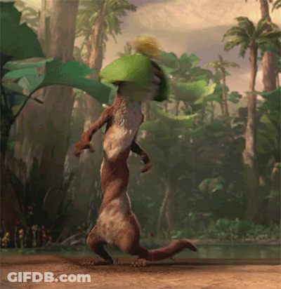 A Squirrel With A Green Leaf On Its Head Is Dancing In The Woods GIF