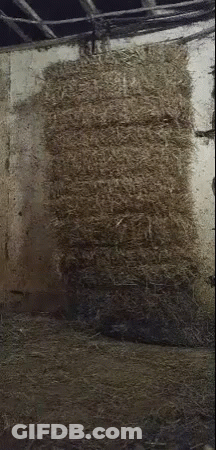 A Stack Of Hay With The Words Hey Kool-Aid On It GIF