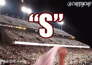 A Stadium Full Of People With The Word " S " Above Them GIF