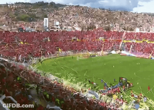 A Stadium With A Lot Of People In It And A Green Field GIF