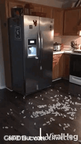 A Stainless Steel Refrigerator In A Kitchen With The Words Not The Vonderwellsg GIF