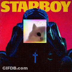 A Starboy Album Cover With A Person Covering Their Face GIF