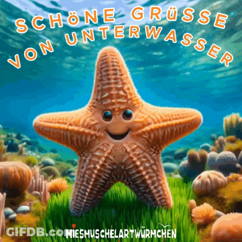 A Starfish With A Smile On Its Face Is Surrounded By Corals And Says Schöne Grusse Von Unterwasser GIF