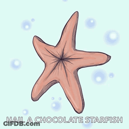 A Starfish With The Words Hail A Chocolate Starfish Below It GIF