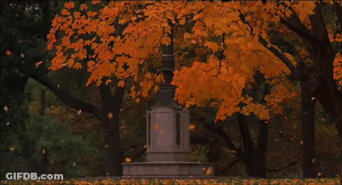 A Statue In A Park With Autumn Leaves Falling Around It GIF