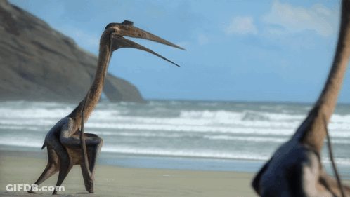 A Statue Of A Bird With A Long Neck Standing On A Beach GIF