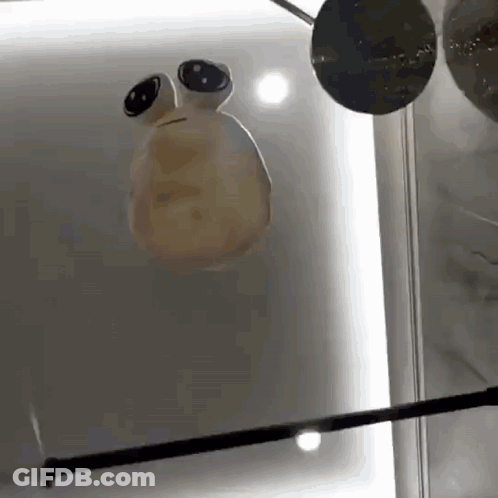 A Statue Of A Frog With Big Eyes Is Hanging On A Glass Wall . GIF