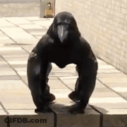 A Statue Of A Gorilla Is Sitting On A Sidewalk . GIF