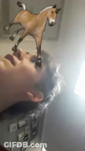 A Statue Of A Horse Is Being Held Over A Person 'S Head GIF