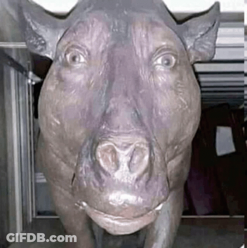 A Statue Of A Pig With A Crown On Its Head Is Looking At The Camera . GIF