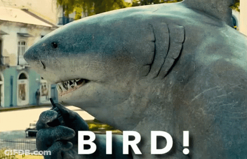 A Statue Of A Shark Is Holding A Cell Phone With The Words Bird Written Below It GIF