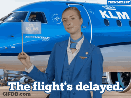A Stewardess Is Holding A Flag In Front Of A Klm Plane GIF