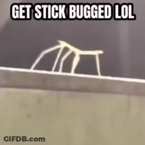 A Stick Bug Is Crawling On A Ledge With The Words `` Get Stick Bugged Lol '' Written Above It . GIF