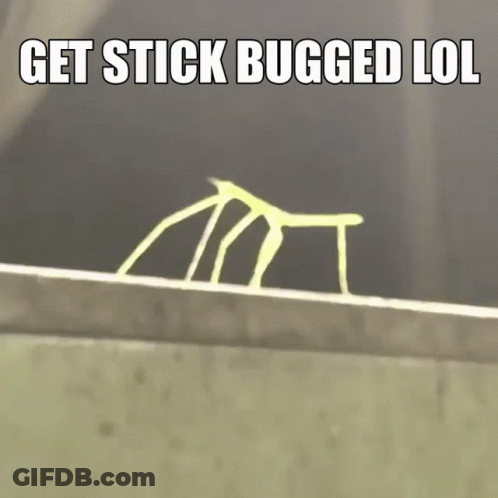 A Stick Bug Is Standing On A Ledge With The Words `` Get Stick Bugged Lol '' Written Above It . GIF