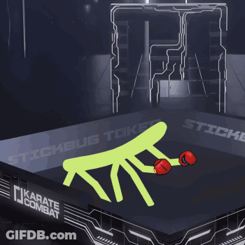 A Stick Figure Is Laying On The Floor In A Karate Ring GIF
