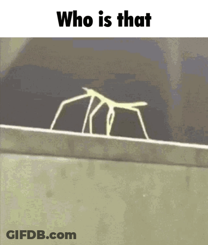A Stick Insect Is Walking Across A Ledge With The Words `` Who Is That '' Written Above It . GIF
