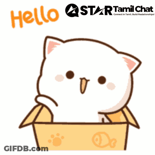 A Sticker Of A Cat In A Box With The Words Hello Star Tamil Chat Below It GIF