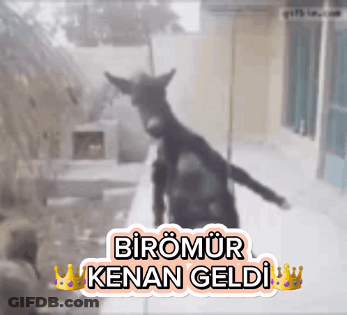 A Sticker With A Picture Of A Goat And The Words Biromur Kenal Geldi GIF