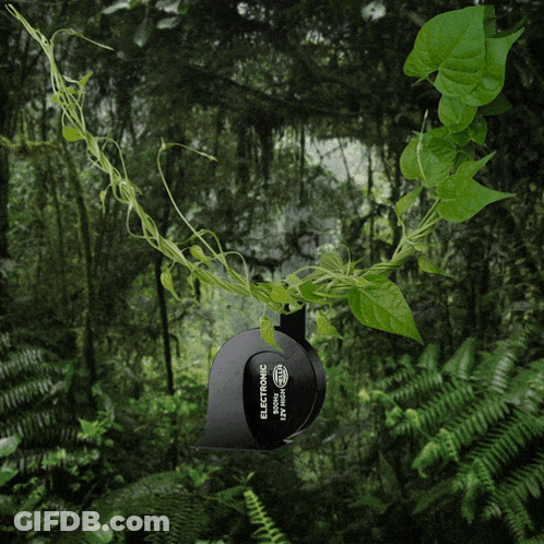A Sticker With The Letter T On It Is In The Middle Of A Forest GIF