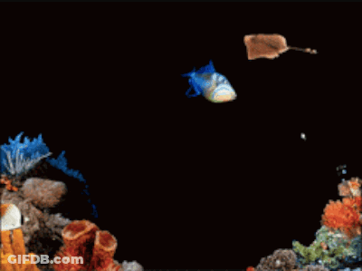 A Stingray Is Flying Over A Coral Reef With A Fish In The Background GIF