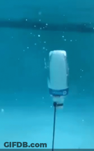 A Stingray Is Swimming In A Tank Of Water With Bubbles Coming Out Of It 'S Mouth . GIF
