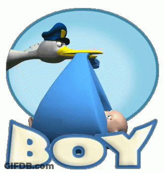 A Stork Is Carrying A Baby In A Blue Blanket And The Word Boy Is Behind It GIF