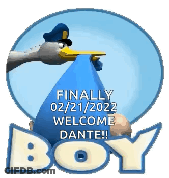 A Stork Is Holding A Baby In Its Beak And The Words `` Finally Welcome Dante ! '' GIF