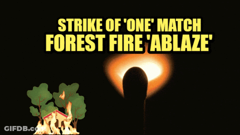 A Strike Of One Match Forest Fire ' Ablaze ' Sign GIF