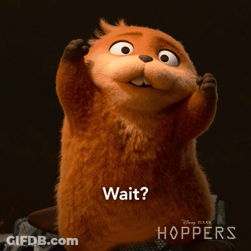 A Stuffed Animal From The Movie Hoppers Is Asking The Question " Wait " GIF