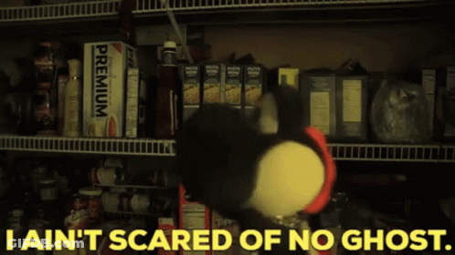 A Stuffed Animal In A Pantry With The Words I Ain 'T Scared Of No Ghost On The Bottom GIF