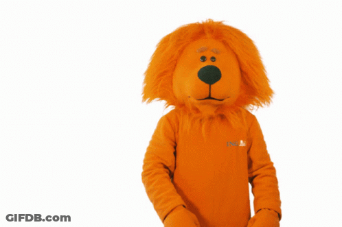 A Stuffed Animal In An Orange Costume That Says Cnb GIF