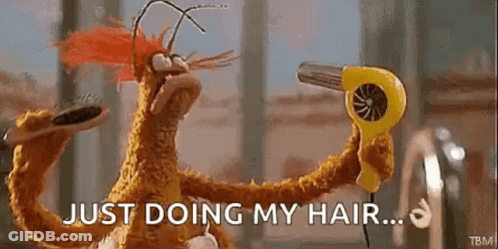 A Stuffed Animal Is Blow Drying His Hair With A Hair Dryer . GIF