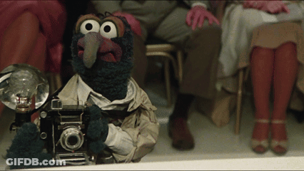 A Stuffed Animal Is Holding A Camera With A Flash On It GIF
