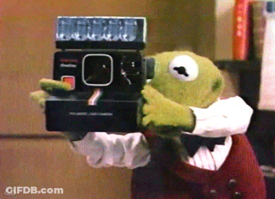 A Stuffed Animal Is Holding A Polaroid Camera In His Hands GIF