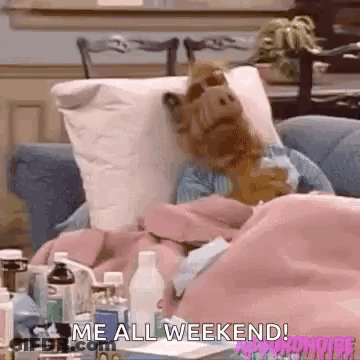 A Stuffed Animal Is Laying In A Bed With A Pillow And A Blanket . GIF