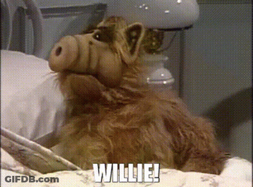 A Stuffed Animal Is Laying On A Bed And Says Willie . GIF