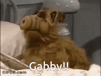 A Stuffed Animal Is Laying On A Bed With The Words Gabby Written On It . GIF