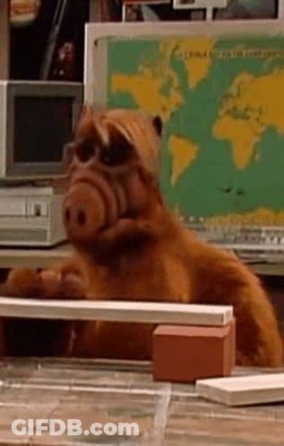 A Stuffed Animal Is Laying On A Table In Front Of A Map Of The World GIF