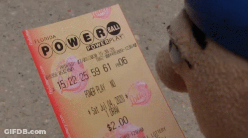 A Stuffed Animal Is Looking At A Florida Powerball Lottery Ticket GIF