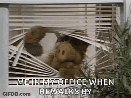 A Stuffed Animal Is Looking Out Of A Window With Blinds . GIF